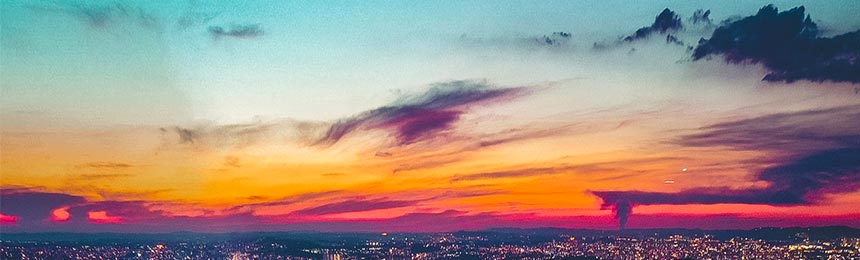 大同茶虫网_大同品茶